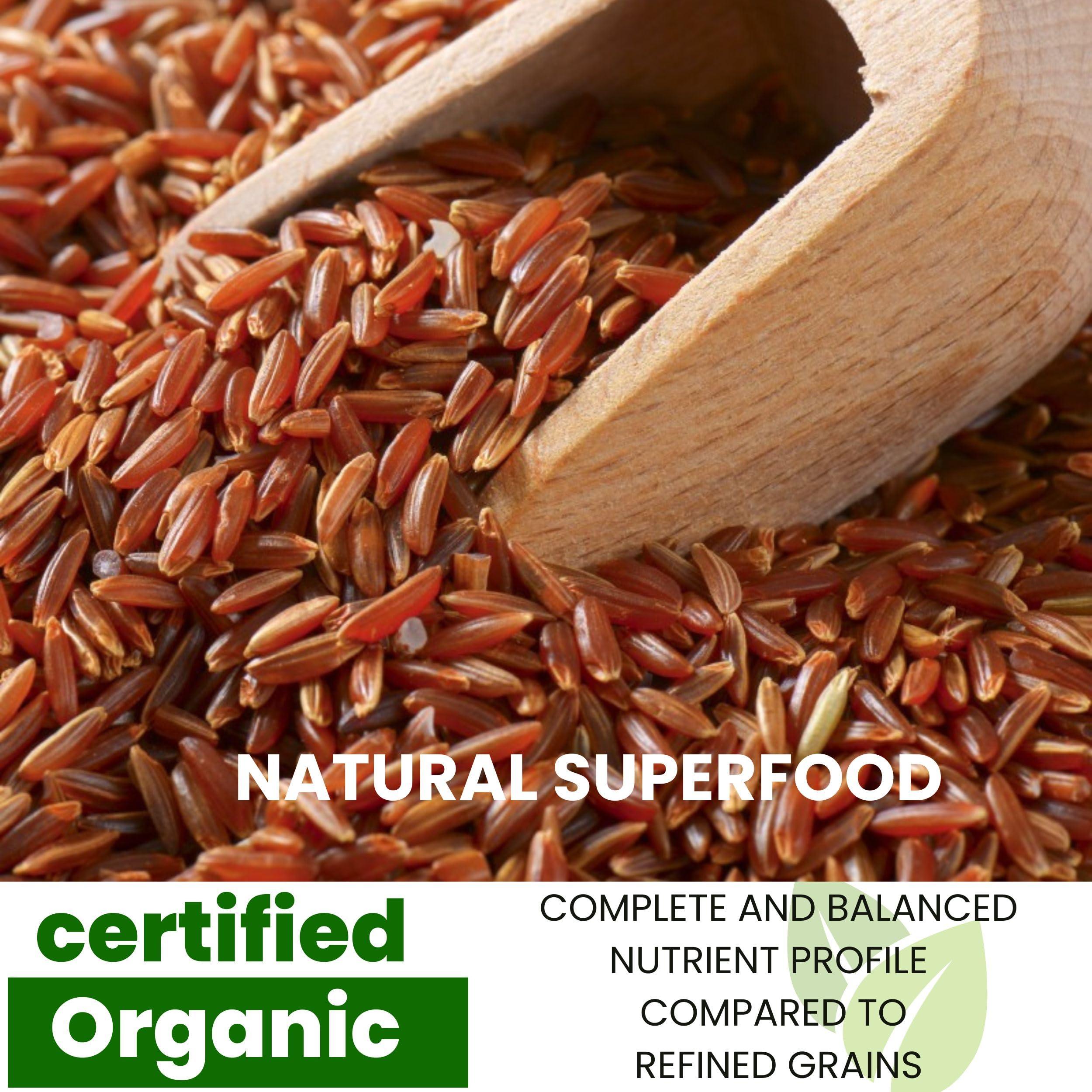 Blue Orchid Organic Organic Thai Red Jasmine Rice - Gluten Free - Preservative Free - Small Lot Farmed from Thailand - 2 LB