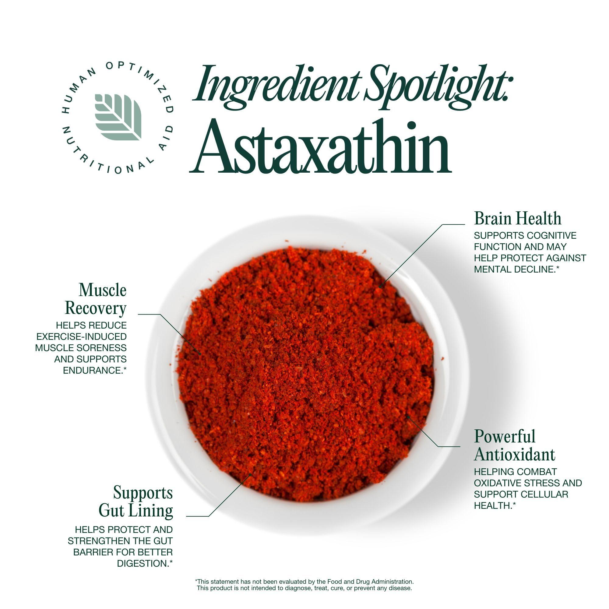 Hona Fiber + Greens Hona Fiber + Greens, Gut & Superfood Blend, Greens Powder with Prebiotics, Probiotics, Fiber & Natural Caffeine, Gluten Free, Sugar Free, Dairy Free, Vegan, Non GMO Greens Superfood Powder, 30 Srvgs