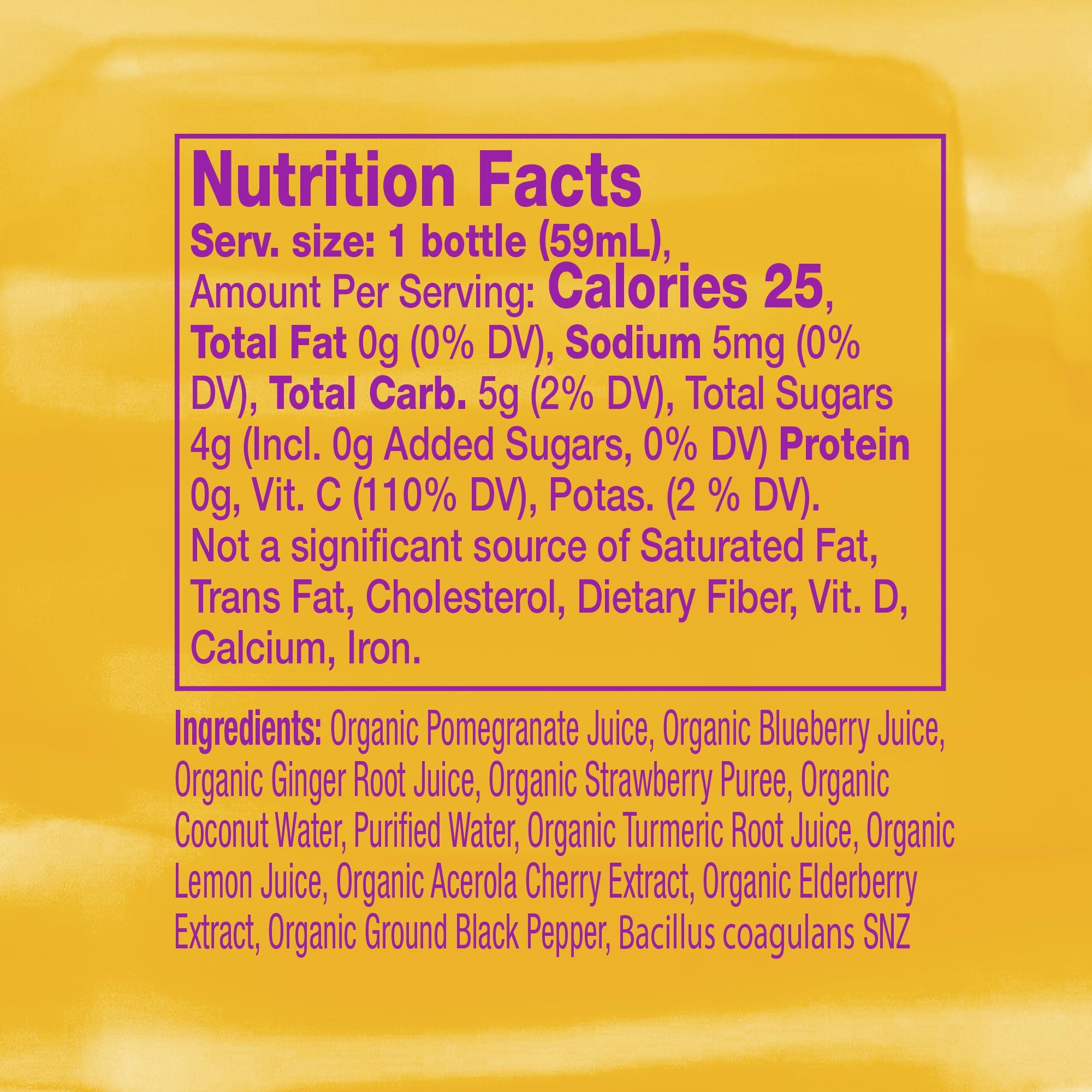 Vive Organic Vive Organic Immune Support Elderberry Shot, Cold-Pressed Turmeric & Ginger, Gluten Free, Vegan, Immunity Boost Elderberry, 2 Fl Oz (Pack of 12)