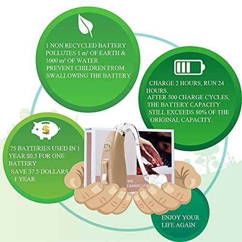Banglijian Banglijian Hearing Aid Rechargeable Ziv-201 Digital Noise Reduction and Feedback Cancellation Small Size (Two Units)