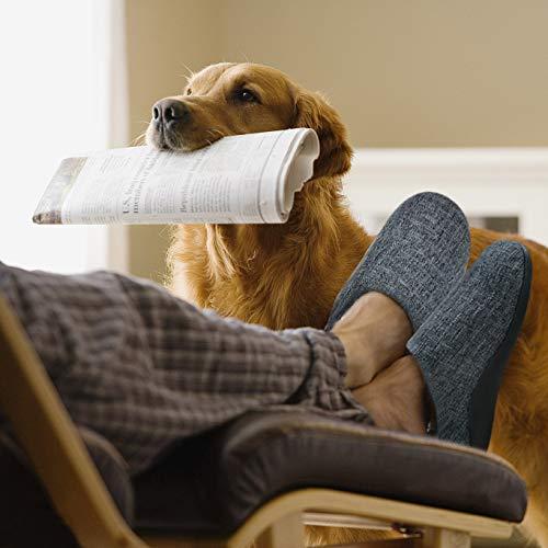 ERGOfoot ERGOfoot Orthotic Slippers with Arch Support for Plantar Fasciitis Pain Relief, Comfortable Orthopedic Clog House Shoes with Indoor Outdoor Anti-Skid Rubber Sole