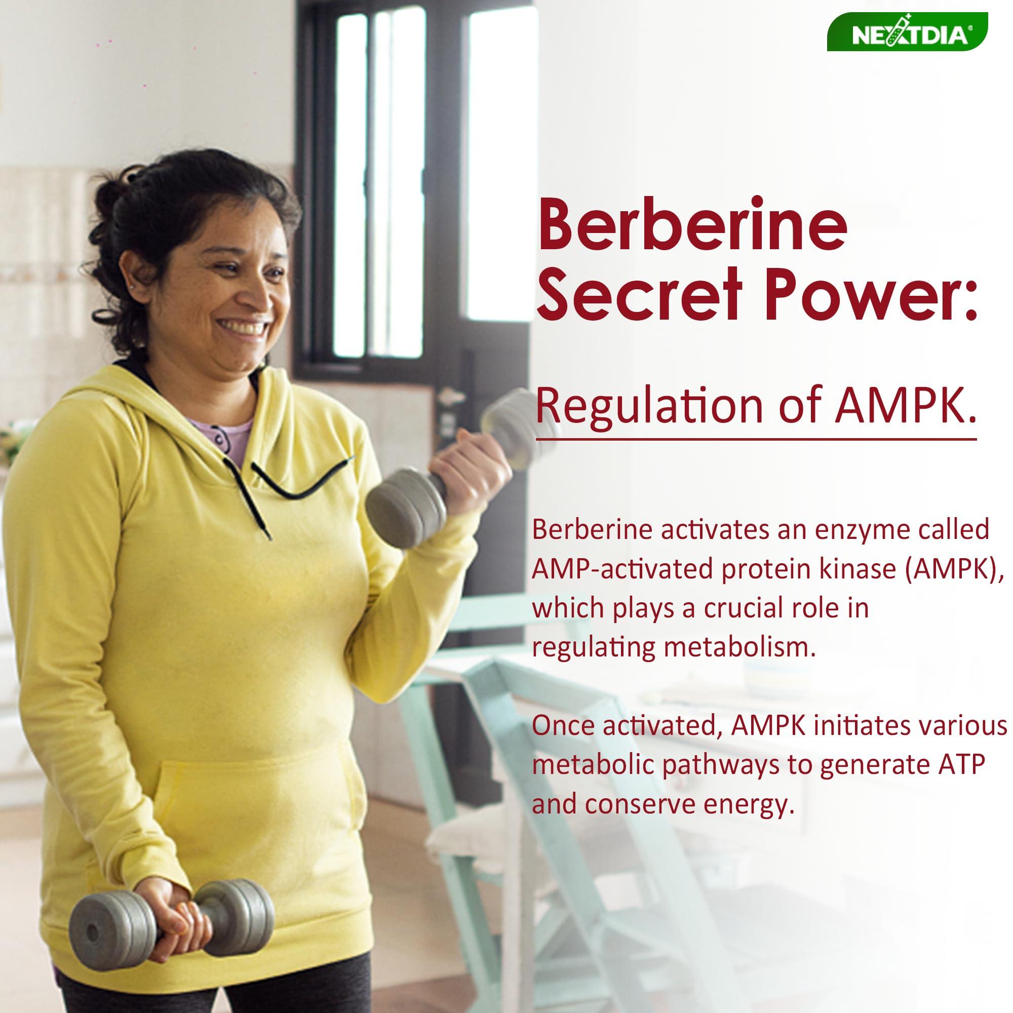 Nextdia Berberine Supplement 1500mg, Sugar Free Berberine with Ceylon Cinnamon Gummies w/Chromium, Turmeric, Milk Thistle for Naturally Metabolism Balanced, Berberine HCl from Indian Barberry Extract, 2 Pack