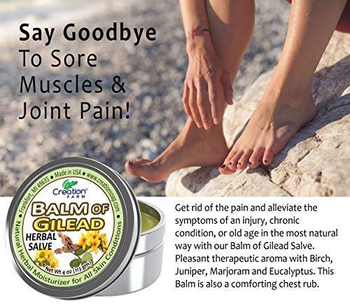 Creation Farm Creation Farm Balm of Gilead Salve - Large 4 Oz Tin - All Botanical Balm of Gilead Bud Ointment, Todos Bálsamo de Galaad pomada botánico
