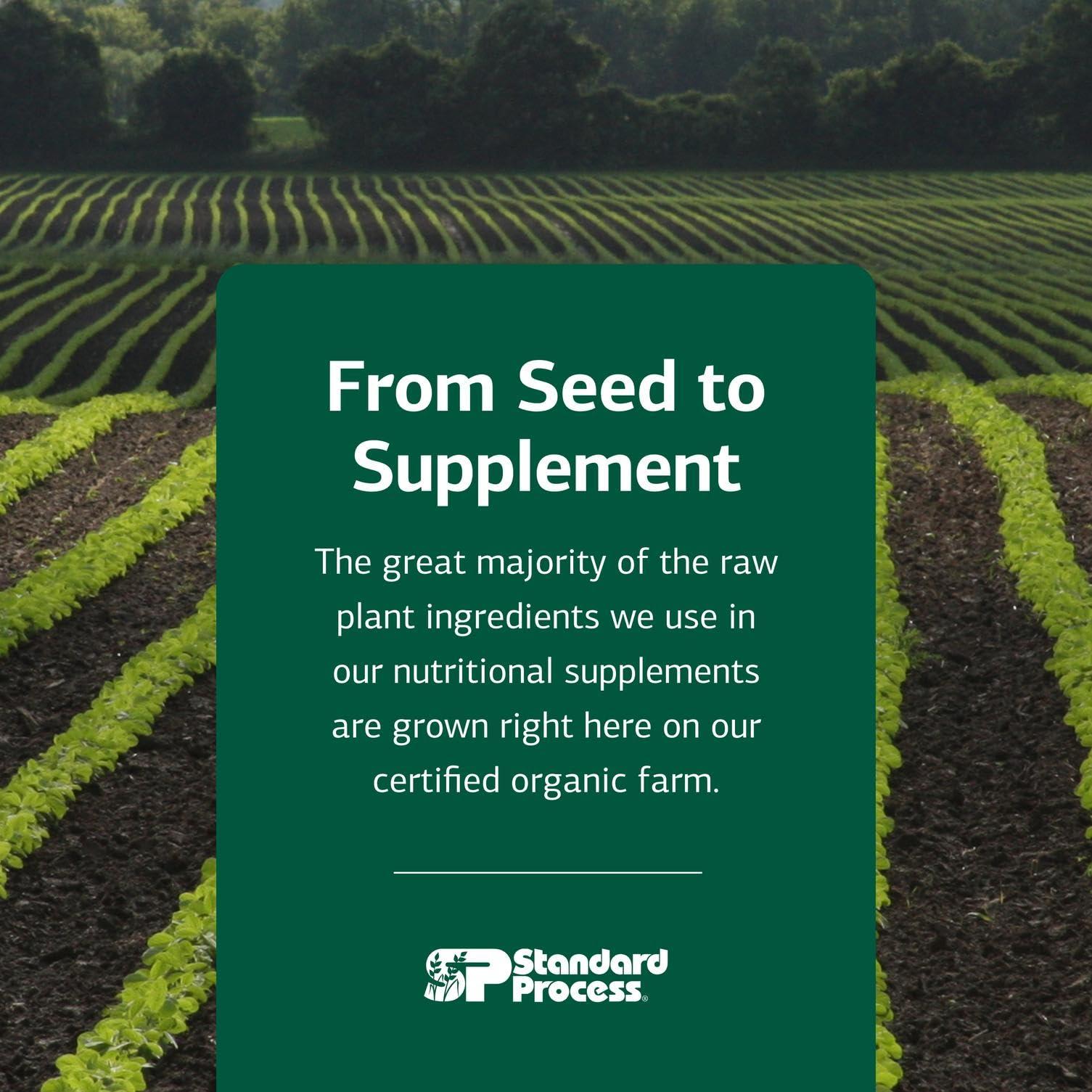 Standard Process Inc. Standard Process Calcium Lactate - Immune Support and Bone Strength - Bone Health and Muscle Supplement with Magnesium and Calcium - 360 Tablets