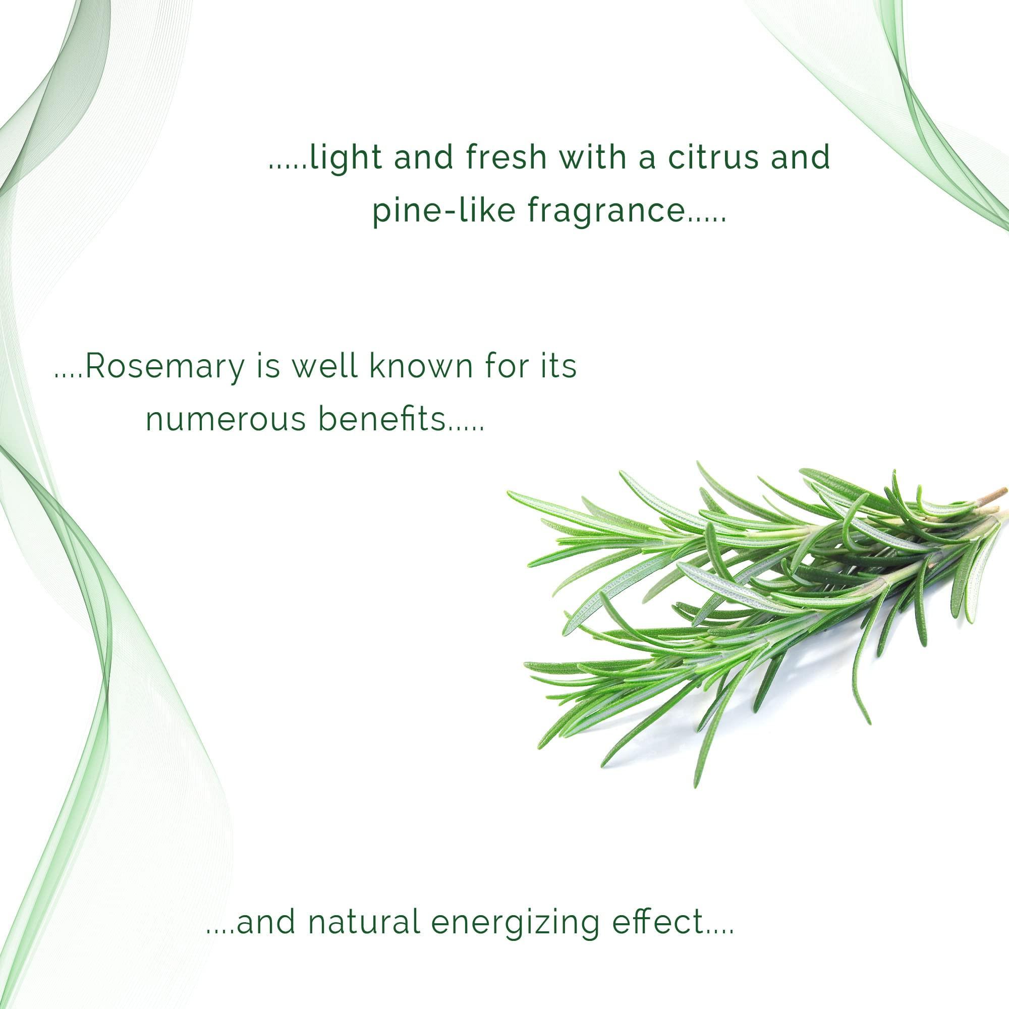 Medvat Conductive Transmission Gel with Aloe Vera - Rosemary Scented - Non-Irritating - Massage, Muscle Stimulation, Microcurrent - 5 Liter with 8.5oz. Refillable Bottle (1 Count (Pack of 1))