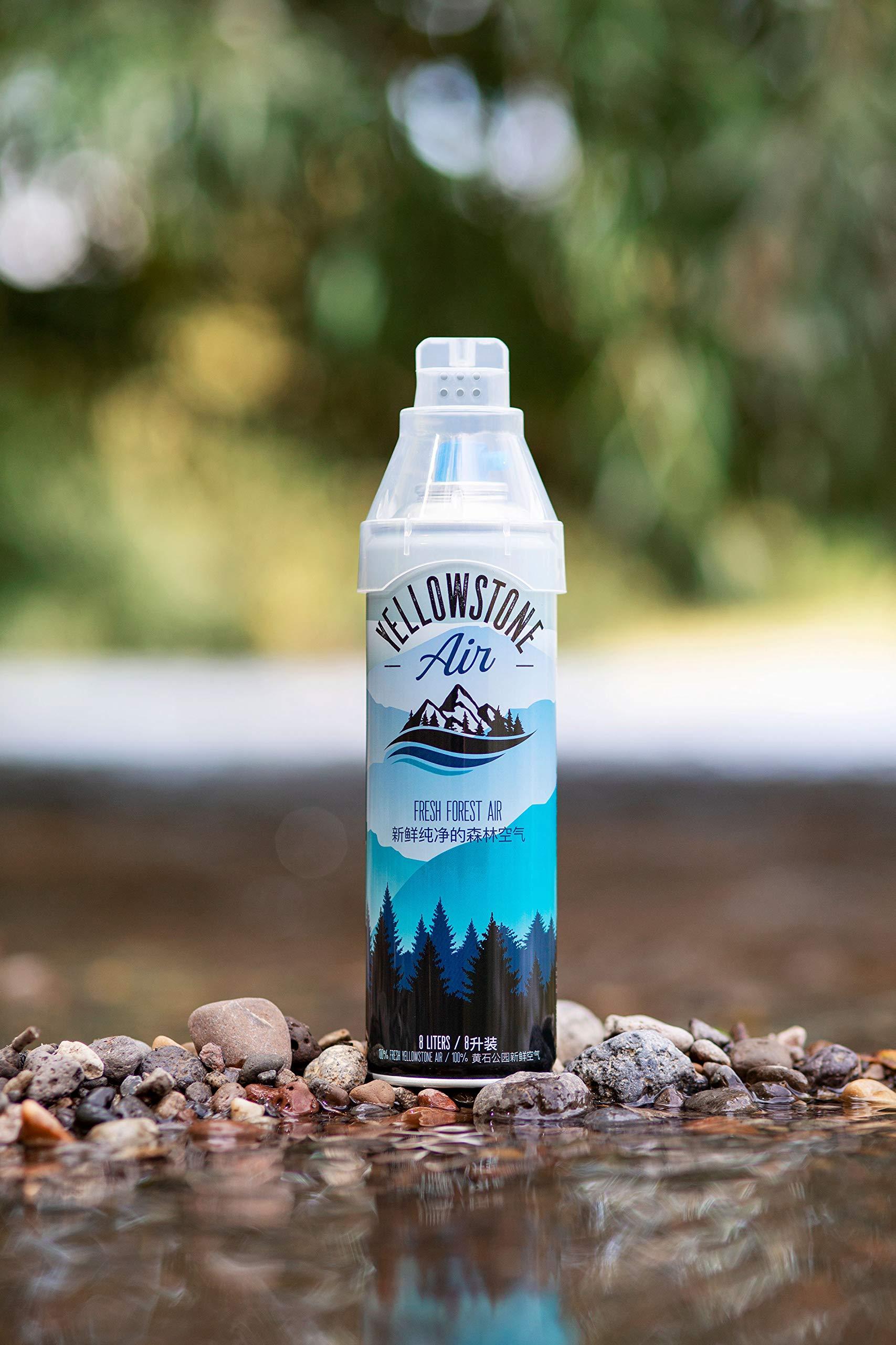 Yellowstone Air Corporation Fresh Forest Air - Yellowstone Air - 8 Liter - 100% Pure and Clean Mountain Air from Yellowstone - Canned Bottled Air
