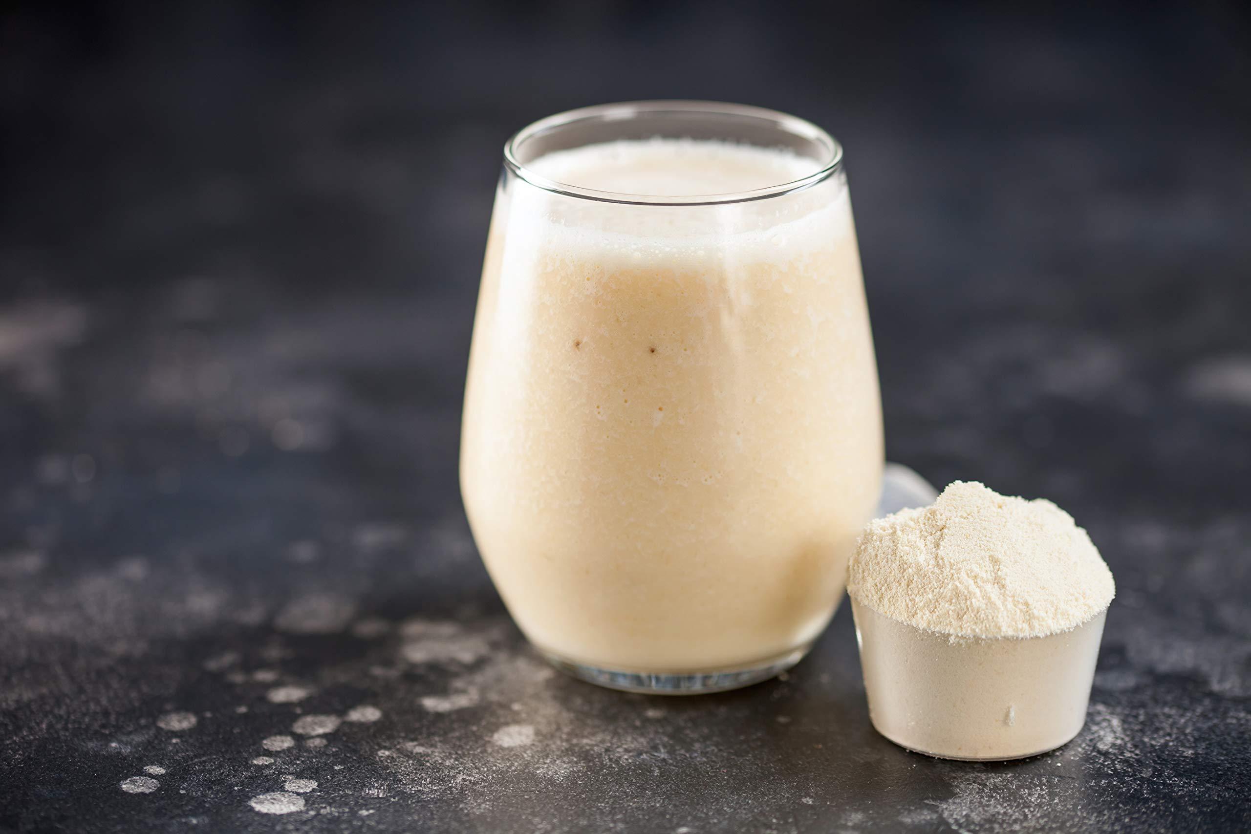 Absorb Plus Absorb Plus Elemental Shake  Nutrient-Rich Powder  Lactose-Free, Casein-Free, No Artificial Additives  Smooth, Easily Mixable Powder for Versatile Use  (100 g, Simply Vanilla)