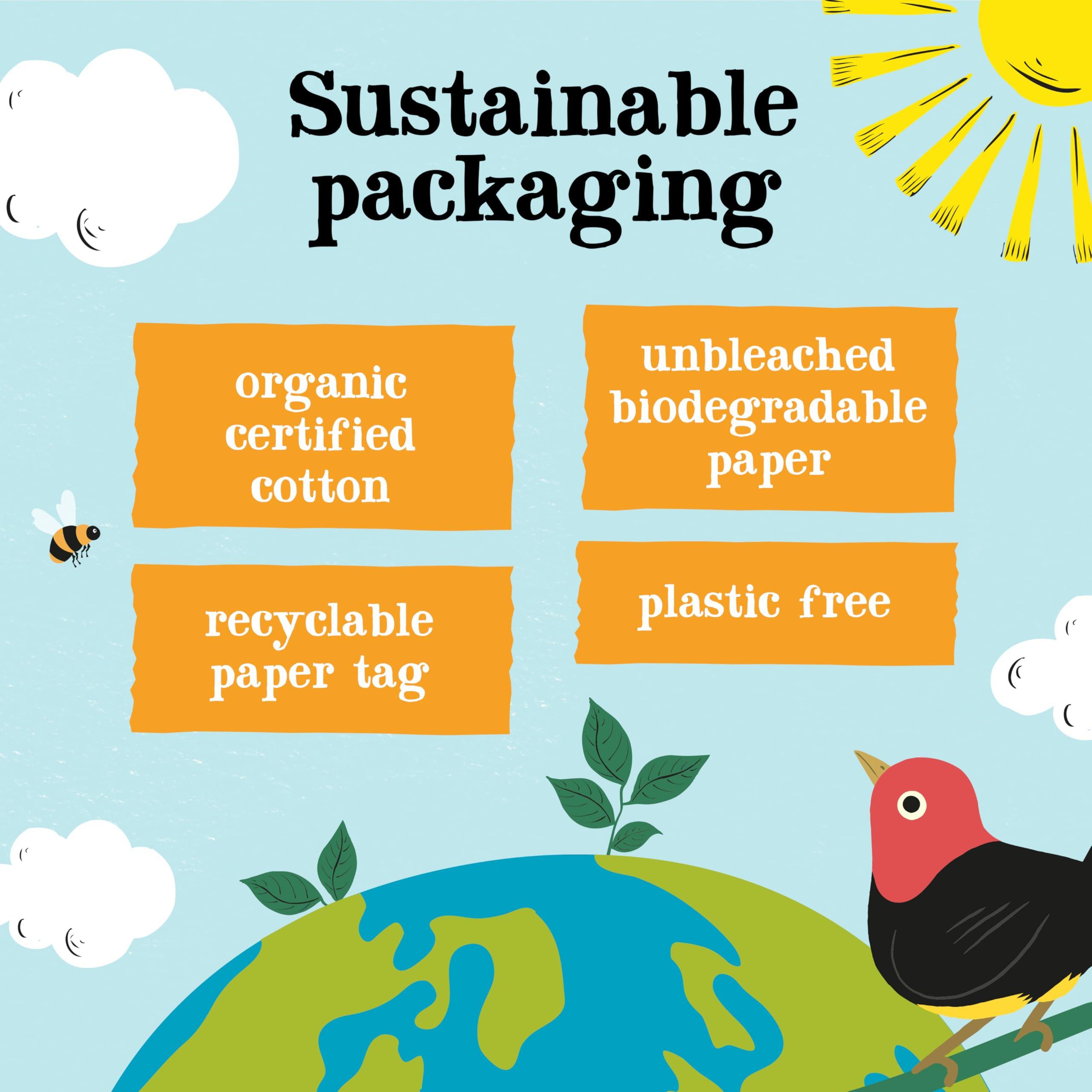 Clipper Natural, Fair & Delicious Clipper Tea, Orange & Turmeric, Organic Tea with Licorice Root, Orange Peel and Hibiscus, Plant Based Herbal Tea, Caffeine Free British Tea, 6 Pack, 120 Unbleached Tea Bags