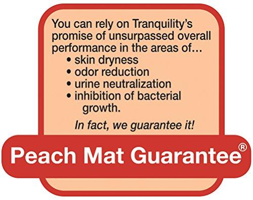 TRANQUILITY Tranquility ATN Adult Disposable Briefs, Refastenable Tabs with All-Through-The-Night Protection, S (24"-32") - 10ct (Case of 10)
