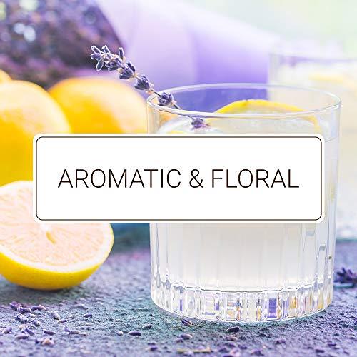 Monin Monin - Gourmet Flavorings Floral Collection, Great for Cocktails, Lemonades, Teas, & Sodas, Gluten-Free, Dairy-Free, (Violet, Lavender, Rose, Hibiscus, & Elderflower) | 50 ml Per Bottle