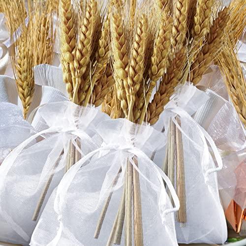 Hoolerry 500 Pcs Organza Gift Bags Jewelry Bags Small Mesh Bags Drawstring Sachet Bags Wedding Favor Bags Bracelet Bags for Packaging Sheer Bags Jewelry Pouches for Small Gifts (White, 3 x 4 Inch)