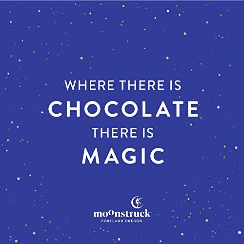 Moonstruck Chocolate Moonstruck Chocolate Dreamy Dark Chocolate Hot Chocolate Mix, 9.5oz (Pack of 1)