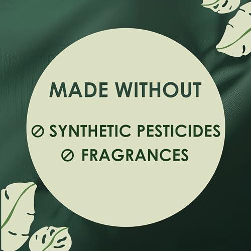 L. L. Pure Cotton Topsheet Pads for Women, Extra Long Overnight Pads, Maxi Pads with Wings, Unscented Menstrual Pads, 28 Count x 2 Packs (56 Count Total) (Packaging May Vary)