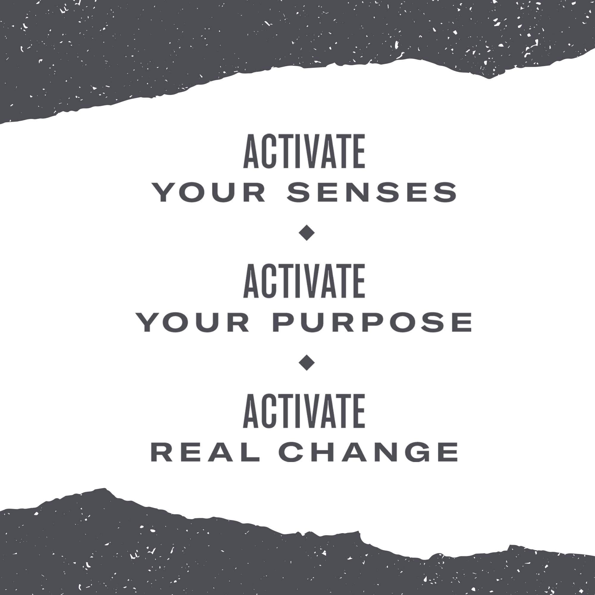 Numi Numi Organic Mat Lemon Tea, 18 Tea Bags, Yerba Mate With Green Tea & Lemon Myrtle, Caffeinated (Packaging May Vary)