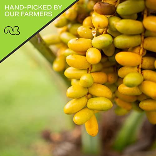 Nut Cravings NUT CRAVINGS Dry Fruits - Sun Dried Deglet Noor Dates Pitted, No Sugar Added (16oz - 1 LB) Packed Fresh in Resealable Bag - Sweet Snack, Healthy Food, All Natural, Vegan, Kosher Certified