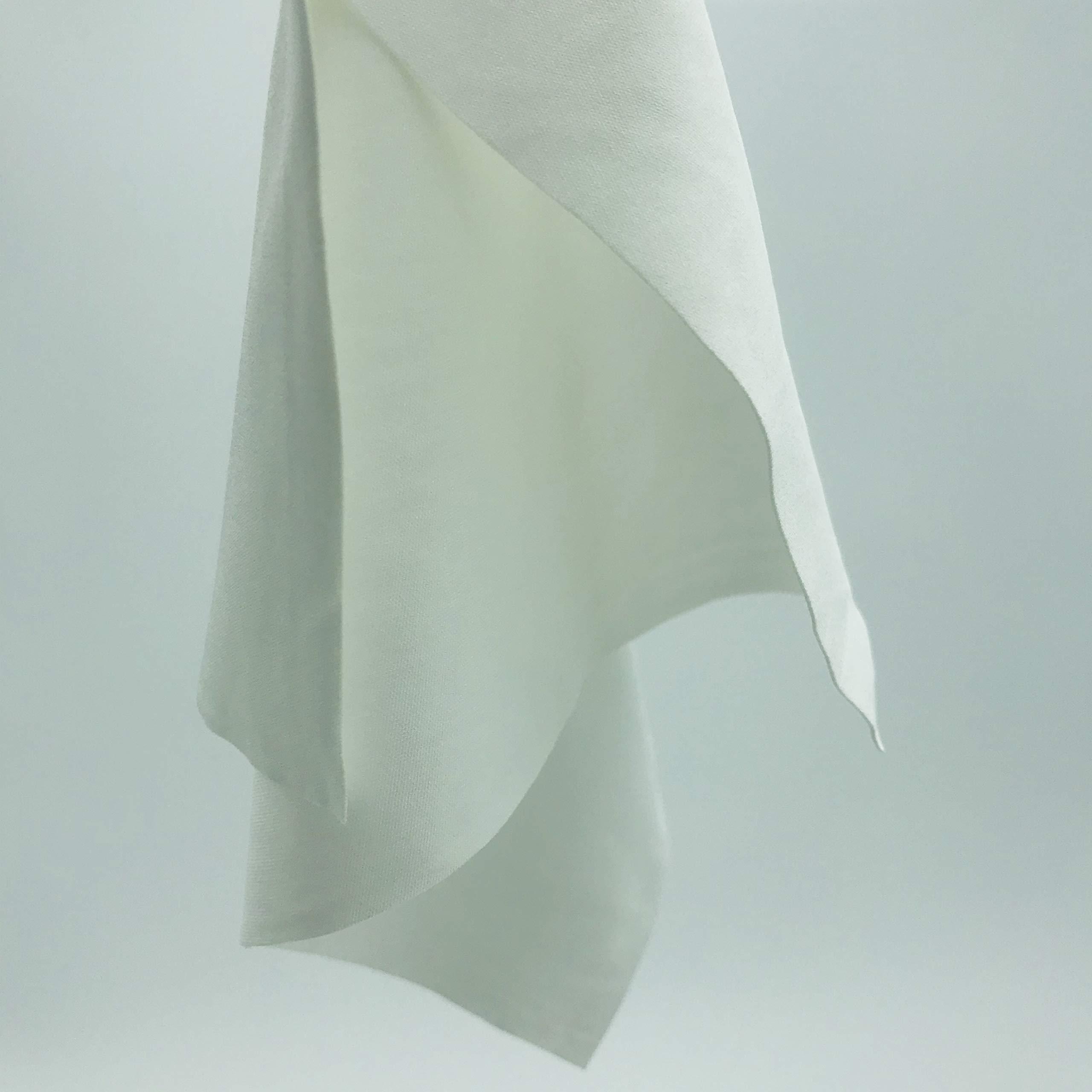 AAwipes AAWipes Cleanroom Cloth Wipes 9\"x9\" (Bag of 150 Pcs) Double Knit 100% Polyester Wipers Lint Free Cloths with Ultra-fine Filaments, Laser Sealed Edge, Class 100 Cloths, Ultra-soft Wipes CP14009