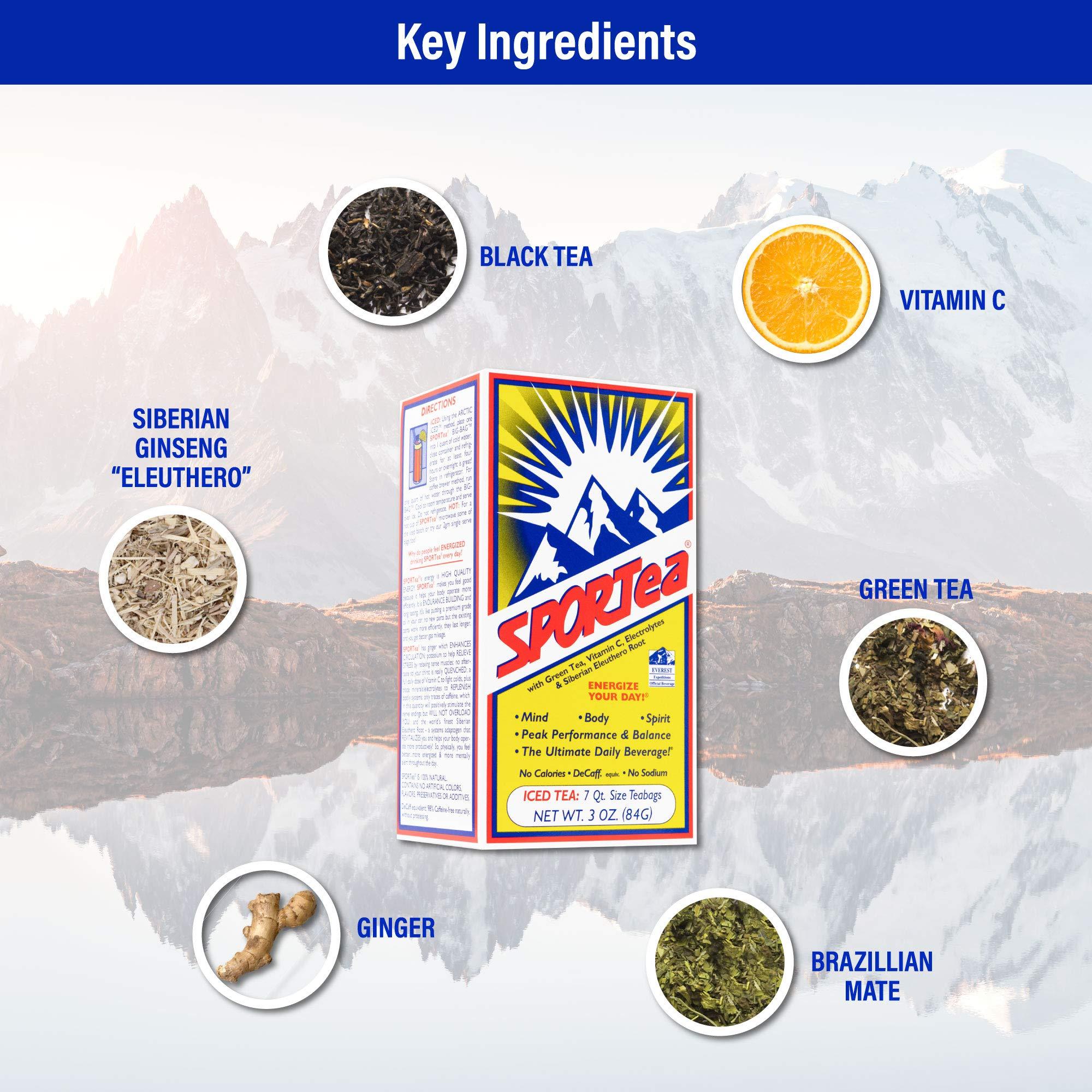 SPORTEA SPORTea Iced | Decaf Energy Drink with Green & Black Tea, Vitamins, Minerals, Electrolytes, Yerba Mate, Siberian Ginseng | 7 Cold Brew Tea Bags | Healthy, Easy | 2 Pack