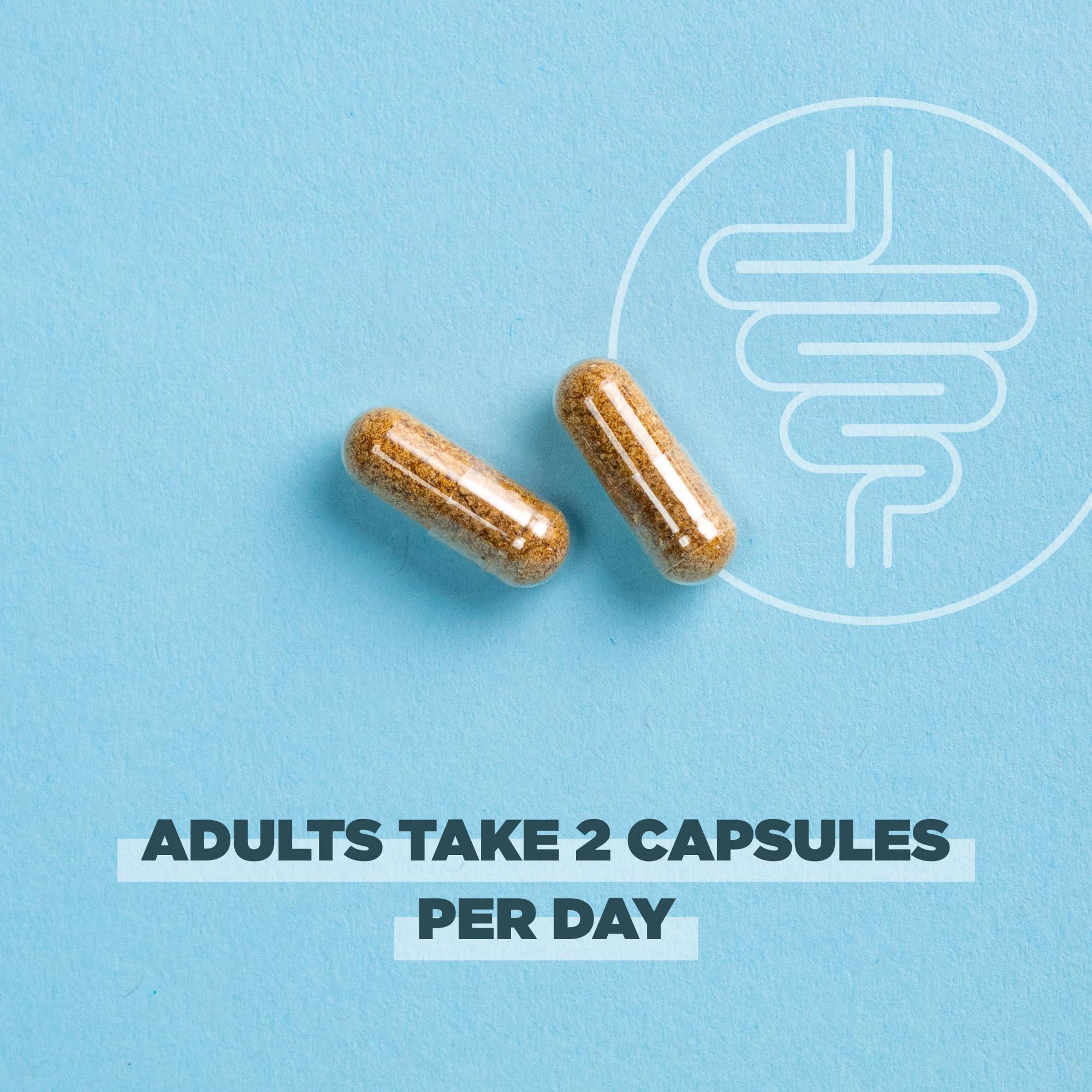 Ancient Nutrition Ancient Nutrition Regenerative Organic Certified Probiotics for Gut Recovery, Probiotics Gut Recovery, for Healthy Digestion and Immune System Function Support, 50 Billion CFUs* Per Serving, 60 Count