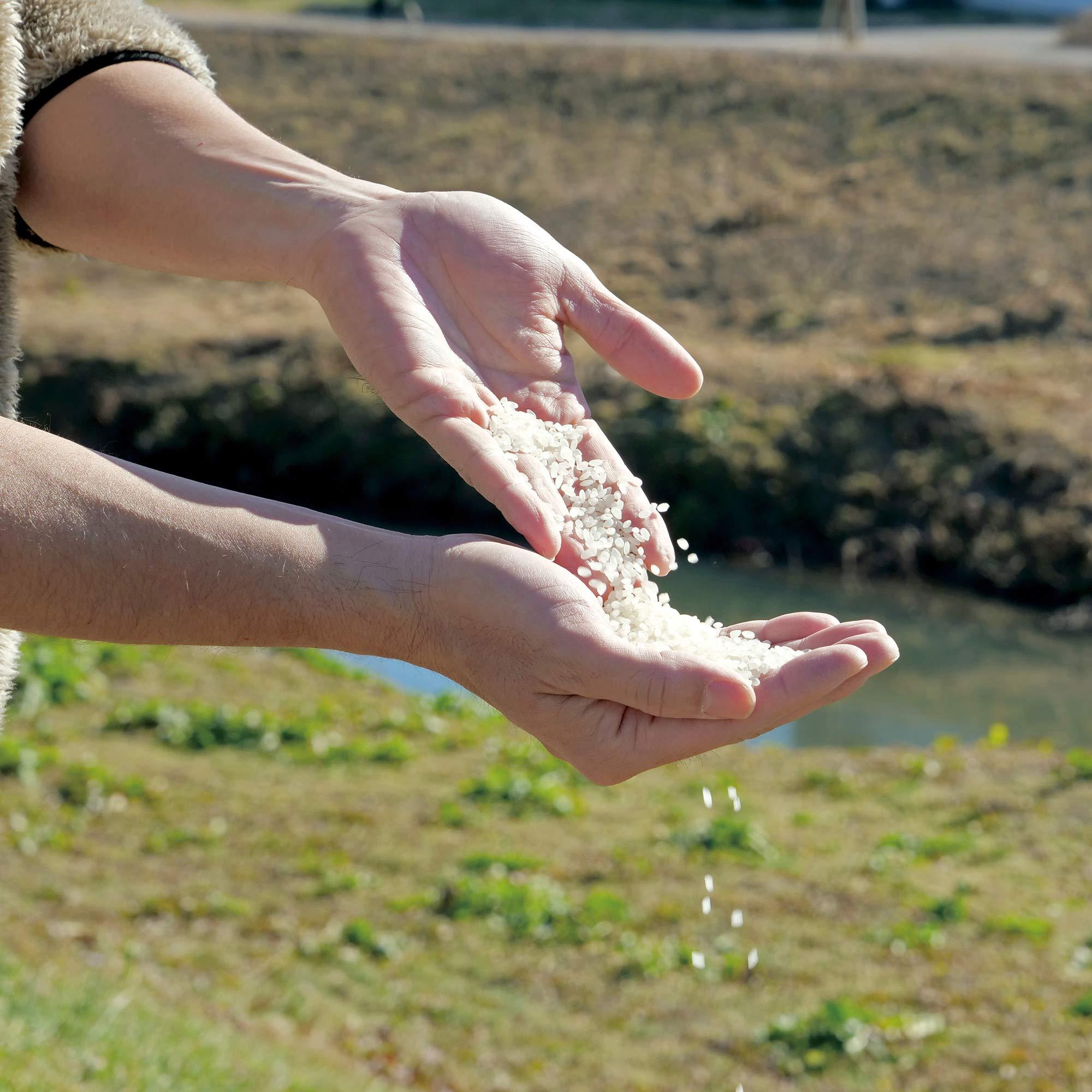 HOKKAIDO YUMEPIRIKA HOKKAIDO YUMEPIRIKA Yumepirika, Extra Premium Japanese White Rices, Product of Hokkaido, JAPAN, High-End Grade Short Grain Sticky Rice, Great Taste. Delicious for Sushi and Onigiri - 4.4 Lbs (2Kg)