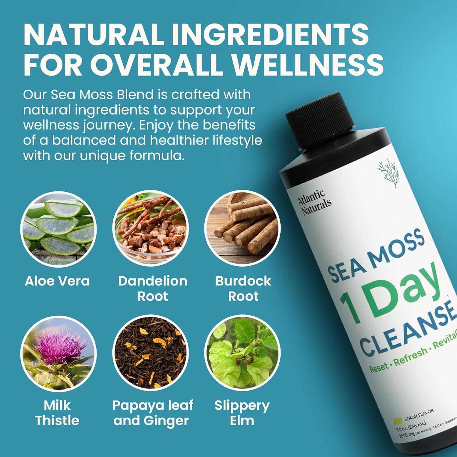 Atlantic Naturals Atlantic Naturals - 1 Day Colon Cleanse Full Body Detox Drink - Sea Moss Supplement for Women & Men, Gut Health, Kidney & Liver Immune Energy Enhancer Gut Cleanse - Lemon Flavor Juice, 8 fl oz