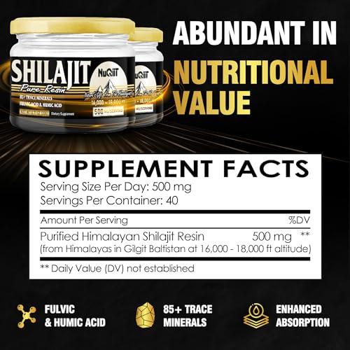 NUQIIT 2 Packs 20g Shilajit Supplement for 80-Serving Supply - Support Immunity, Brain Health & More - 500mg Shilajit Pure Himalayan Organic with Natural Fulvic Acid, Humic Acid & 85+ Trace Minerals