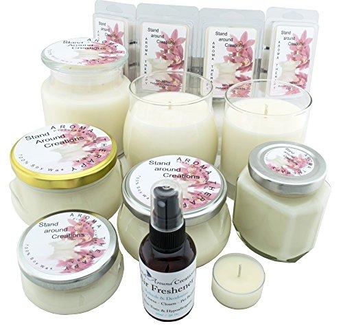 Stand Around Creations Premium 100% All Natural Soy Wax Aromatherapy Candle - 2oz Tin - Strawberry: Fresh, Juicy Notes of Vine ripe Strawberries