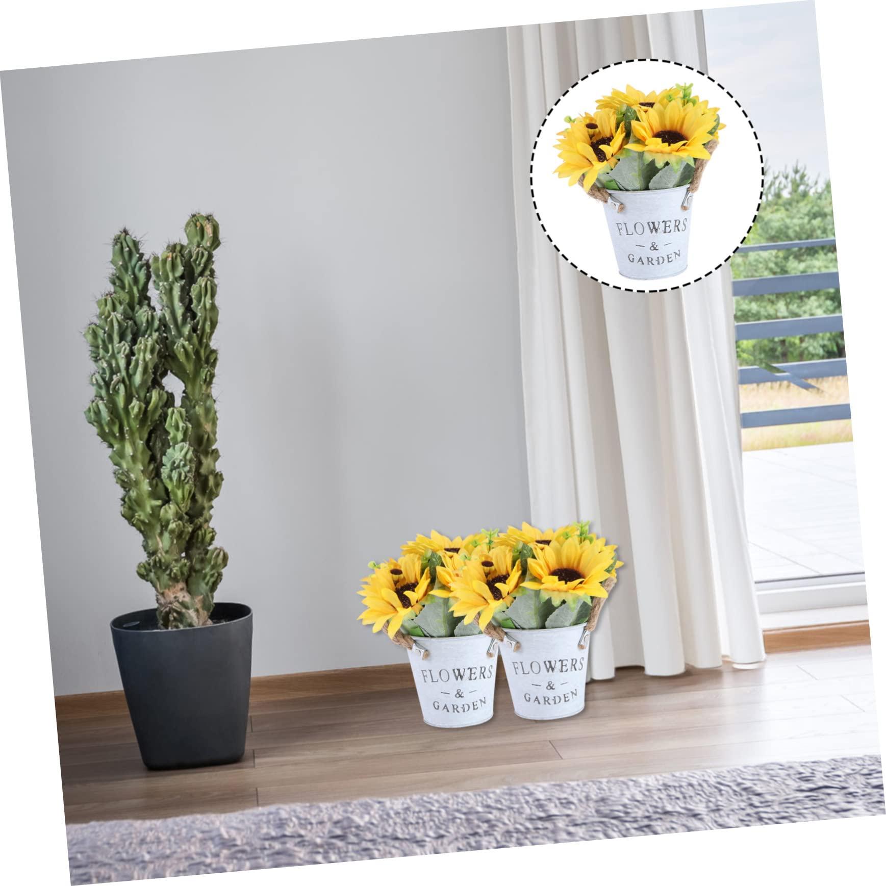 Florastor Florastor Family Probiotic Bundle - 100 ct. Probiotic for Digestive & Immune Health for Men & Women + 20 ct. Kids Daily Probiotic, Unflavored Powder Sticks - Boost Good Bacteria & Flush Out The Bad