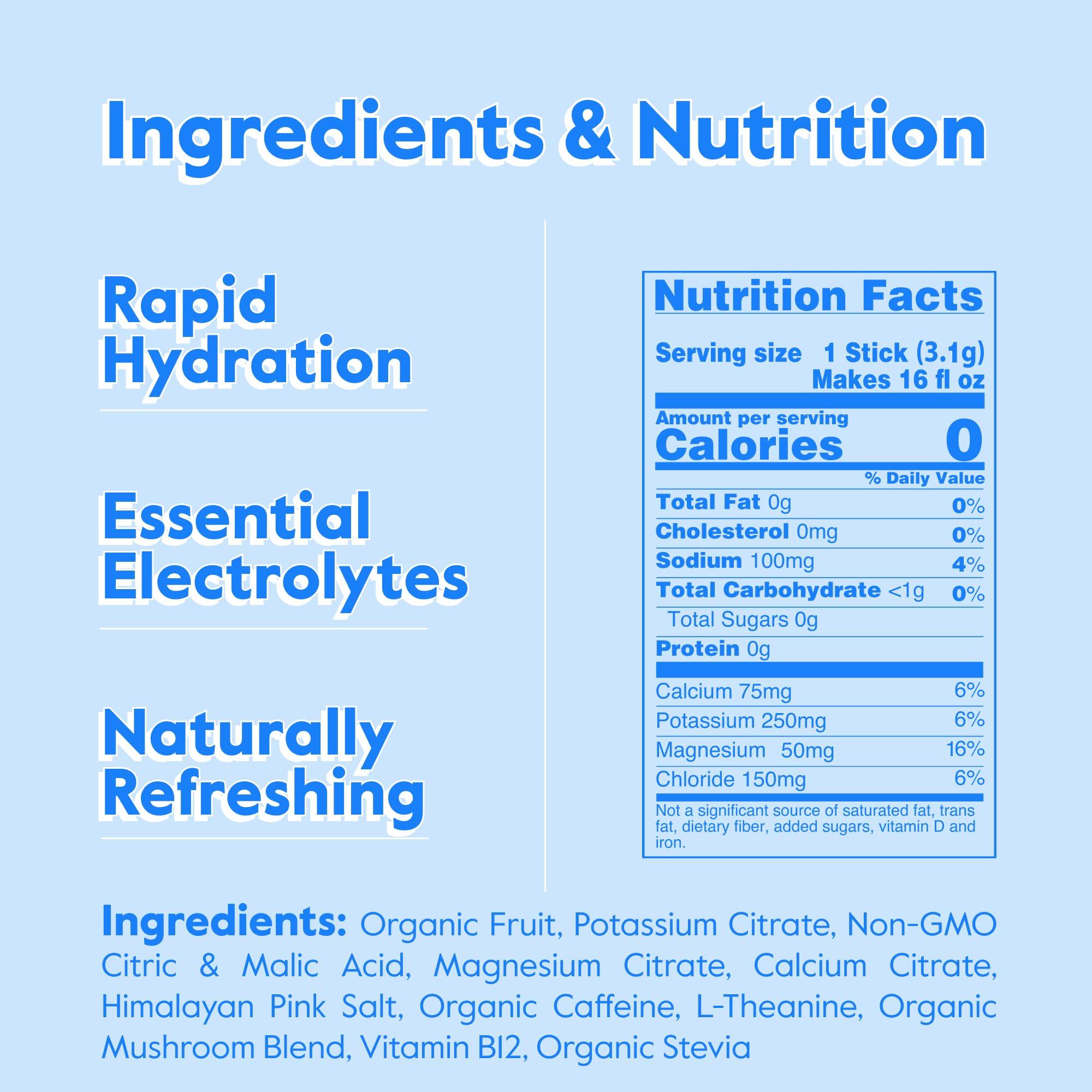 Nectar Nectar Energy Booster - Organic Caffeine, B12 & Electrolytes - Sugar Free & Zero Calorie – Healthy Coffee, Energy Drink & Soda Alternative – Hydration & Energy Supplement (Variety 18 Powder Packets)