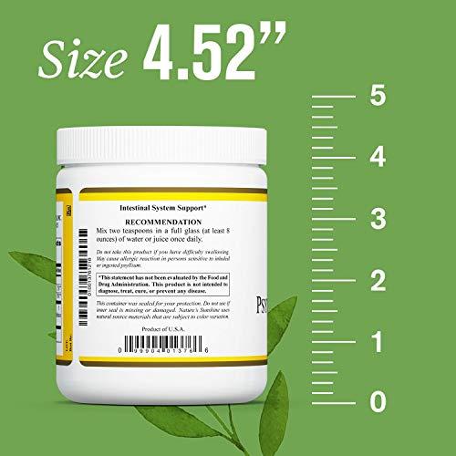 Nature's Sunshine Nature's Sunshine Psyllium Hulls Combination 11 Oz