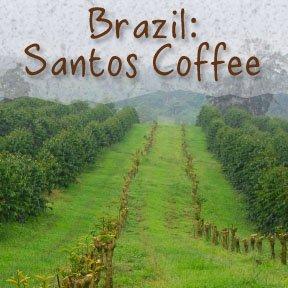 Toy Dog Coffee Brazil 'Santos' Coffee 1LB-Whole Bean