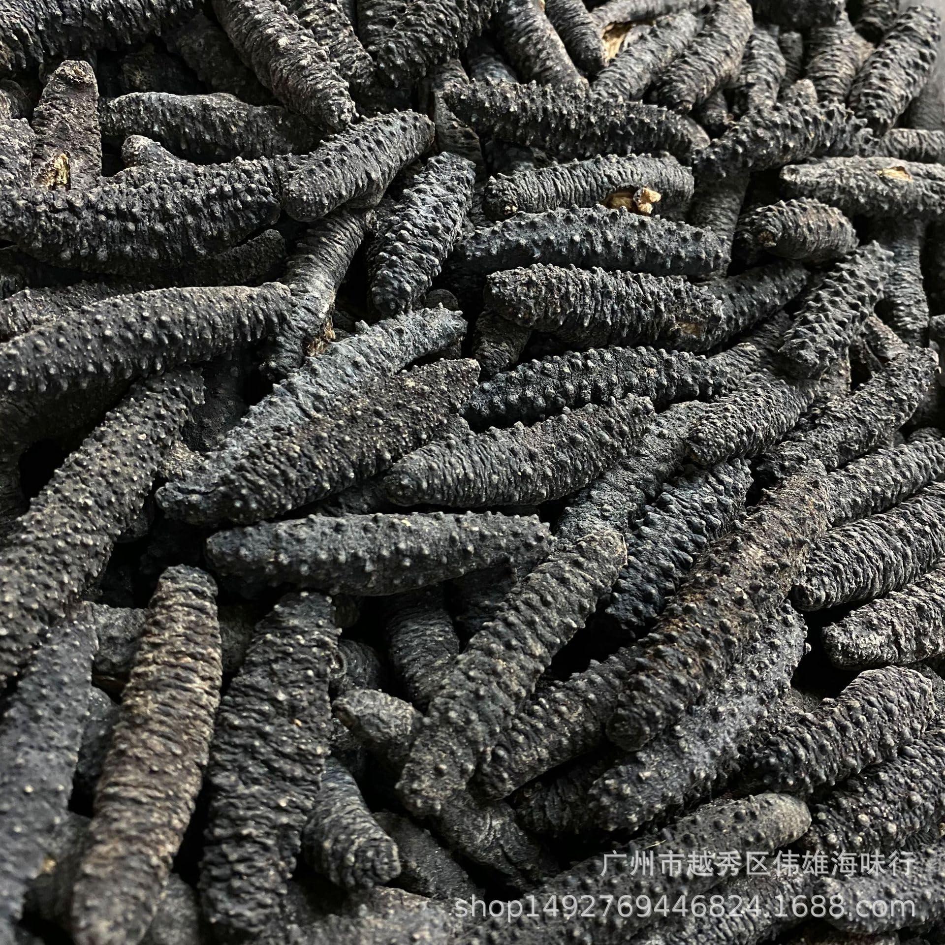 Generic Generic Hose Dryer with Filter Compatible with CPAP and BIPAP Hoses, USB Powered and Nearly Silent. (Include Both AC Adapter and Speed Control/Timer), Black