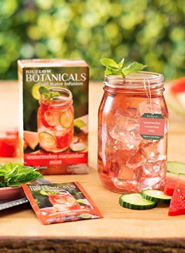 Bigelow Tea Bigelow Botanicals Cold Water Infusion Watermelon Cucumber Mint Tea Bags 18 Count Box (Pack of 1), Herbal Infusion, Caffeine Free, 18 Tea Bags Total