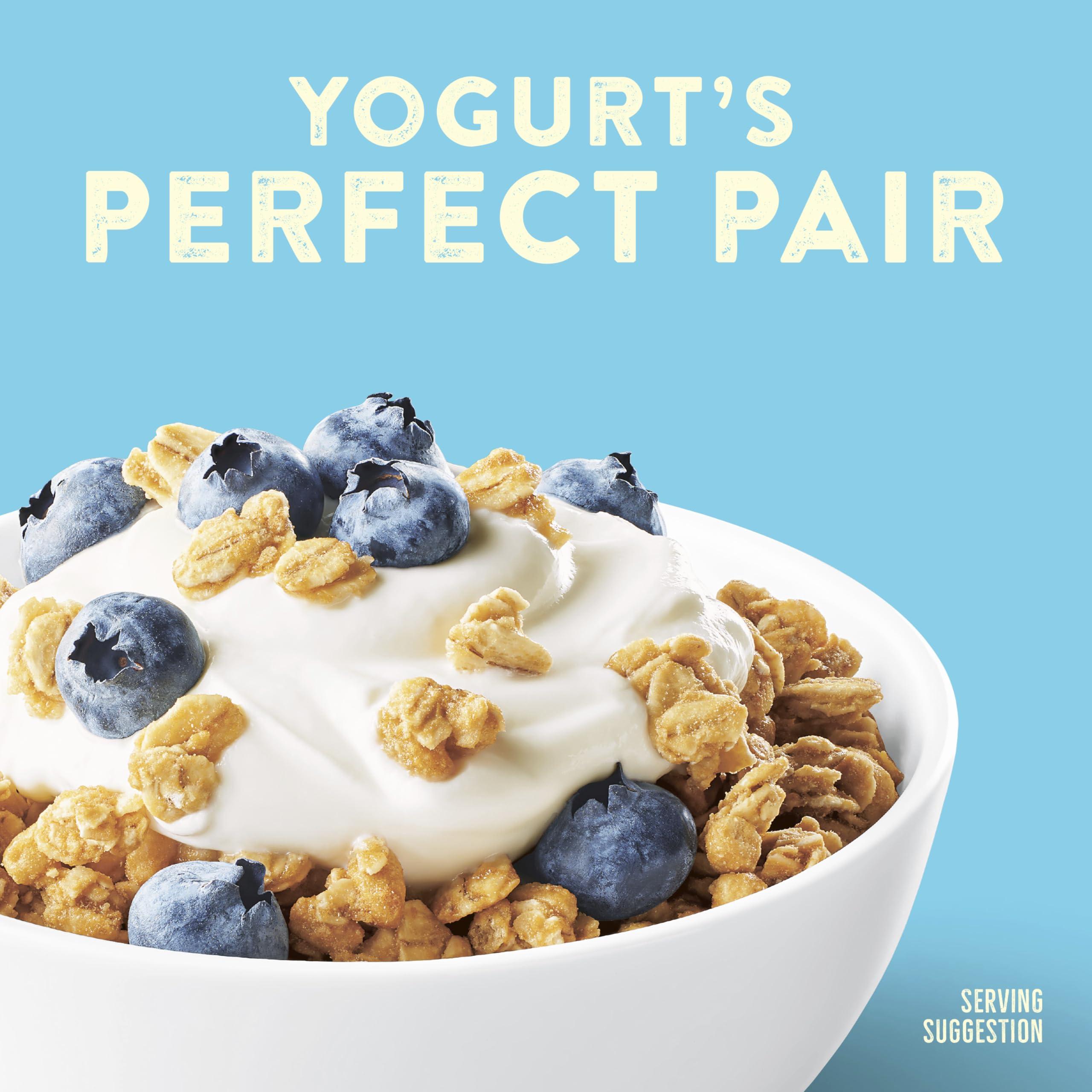 Nature Valley Nature Valley Protein Granola, French Vanilla Flavored, Resealable Bag, 11 oz (Pack of 2)