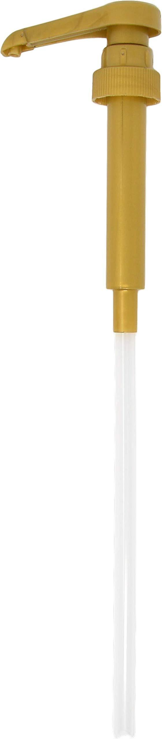 By The Cup DaVinci Gourmet Classic Caramel Syrup, 750 ml (25.4 fl oz) Plastic Bottle (Pack of 2) with 2 By The Cup Pumps