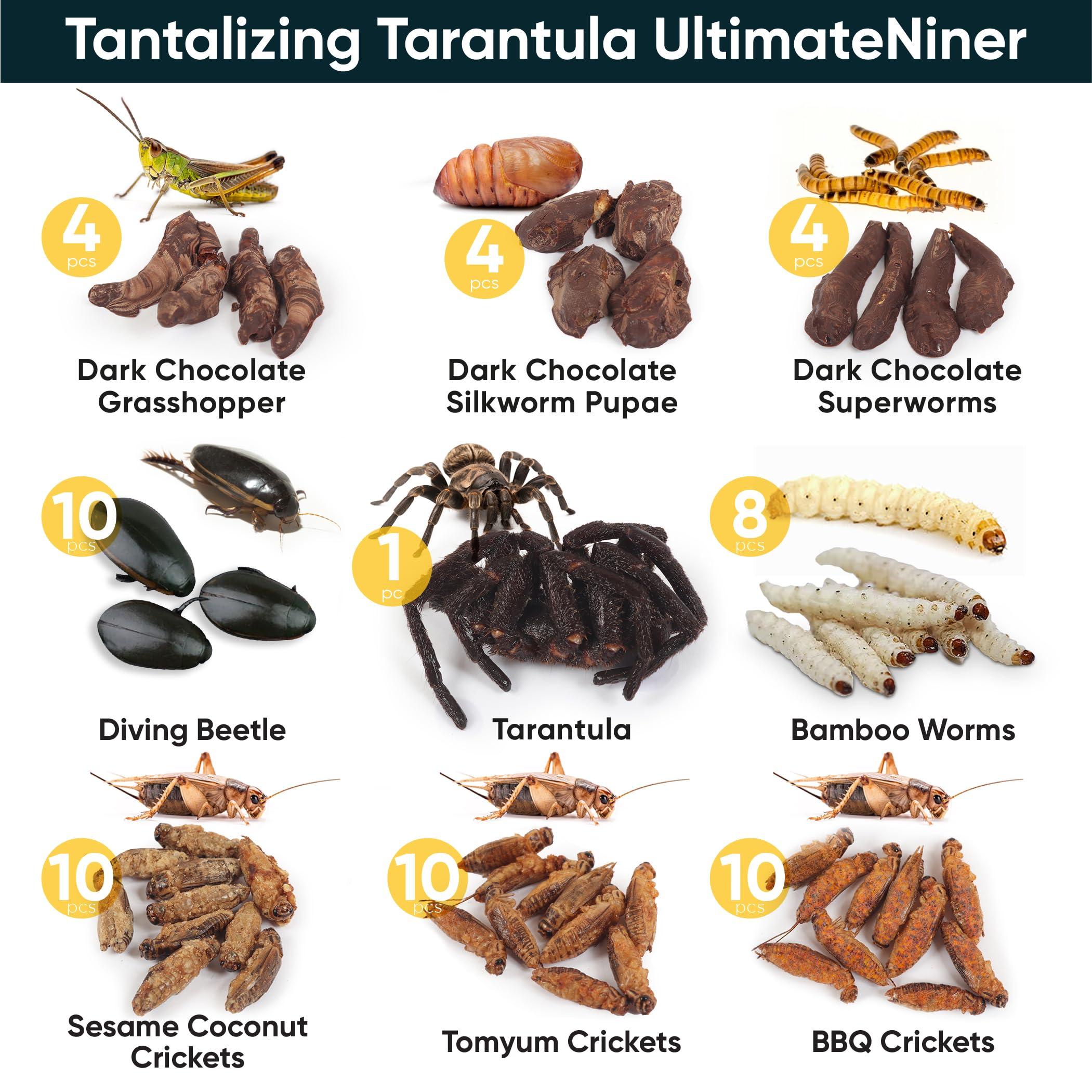 Insnacc White Elephant Gifts For Adults - 2.26 Ounce Real Edible Flavored Insects For Humans, Funny Birthday Gifts, Weird Gifts (Tarantula & Assorted Bugs, Box of 9)