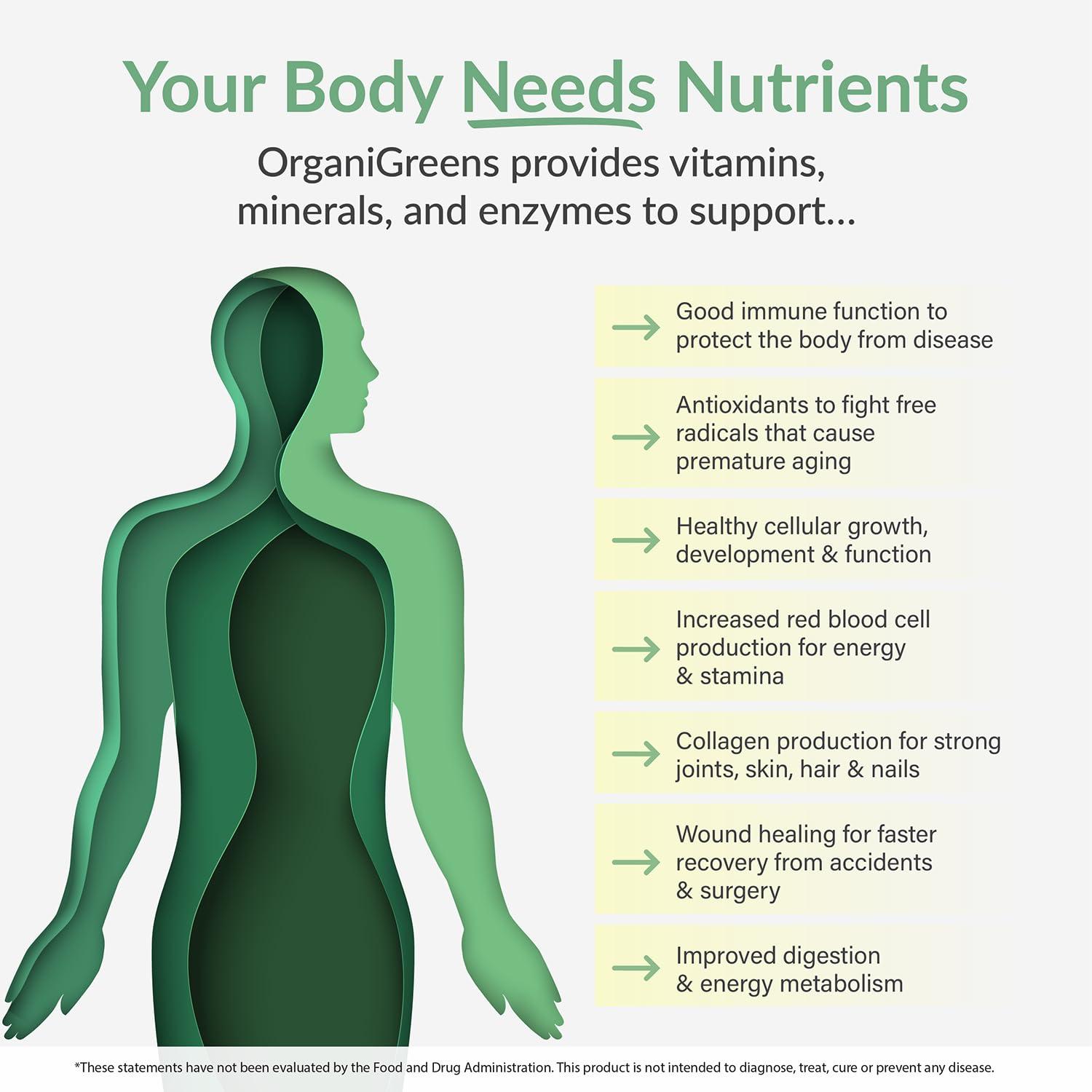 Organixx Organixx Greens Superfood Powder with Probiotic Digestive Enzymes, Gluten Free, Vegan, Daily Super Greens Powder Supplement Drink Mix for Gut Health, Immune Support & Energy, Organic, Non GMO, 10 oz