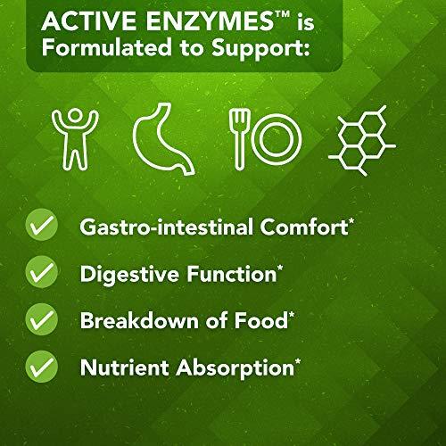 Vital Plan Vital Plan Active Enzymes Supplement by Dr. Bill Rawls - Digestive Enzymes for Gut Health & Digestion - Protease, Bromelain, Lactase, Amylase & Lipase (120 Capsules)