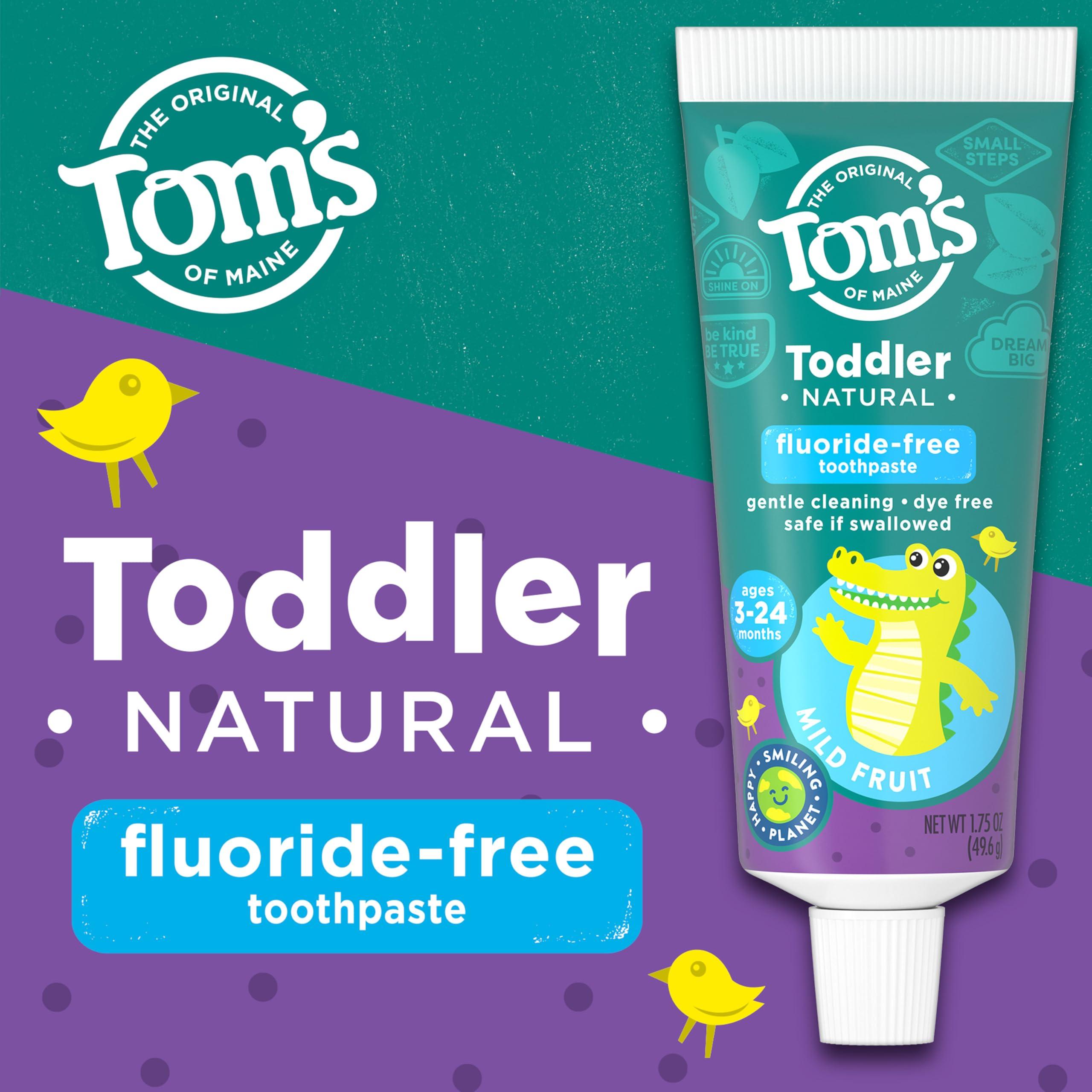 Tom's of Maine Tom\'s of Maine Fluoride-Free Toddler Training Toothpaste, Mild Fruit, 1.75 oz. 3-Pack (Packaging May Vary)