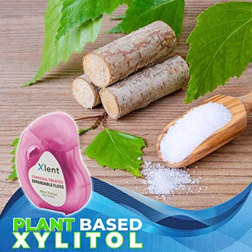 The Republic of Tea The Republic of Tea - Pumpkin Spice Black Tea, 50 Tea Bags