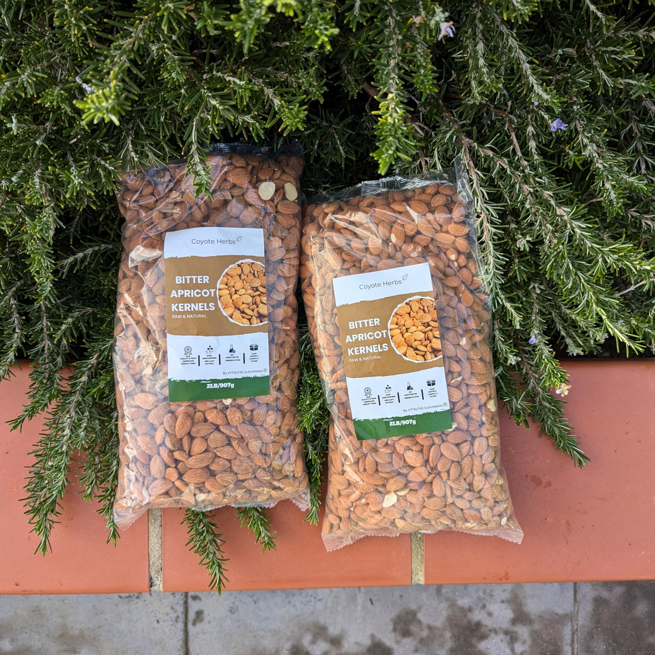 Coyote-herbs Coyote-herbs Bitter apricot kernels 1816g/ 64 oz Raw Seeds, Premium bitter Almonds - Rich in Natural Vitamin B17