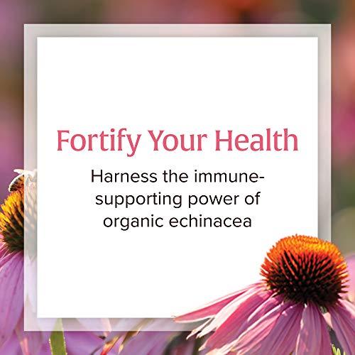 Natural Factors Natural Factors, Anti-V Liquid Formula, Echinacea Supplement for Immune and Wellness Support, Organic, Non-GMO, 3.4 oz (100 servings)