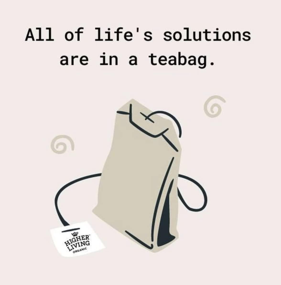 Higher Living Higher Living Organic Lemon & Ginger Herbal Tea - 15 Teabags | with Licorice Root, Lemongrass, Lemon Peel & More | Tangy & Spicy Flavor | Caffeine Free | Use as Hot or Iced Tea | 1.05oz/30g