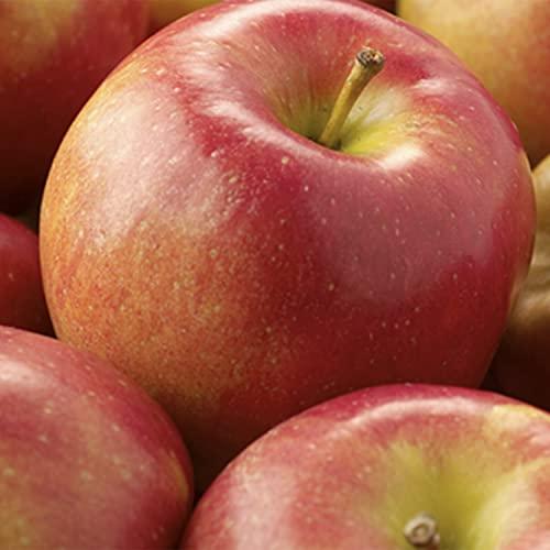 A Gift Inside A Gift Inside Fruitful Trio Deluxe Fruit Gift