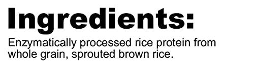 NutriBiotic NutriBiotic Plain Rice Protein, 1 Lb. 5 Oz. (600g) | Low Carb, Keto-Friendly, Vegan, Raw Protein Powder | Grown & Processed without Chemicals, GMOs or Gluten | Easy to Digest & Nutrient-Rich