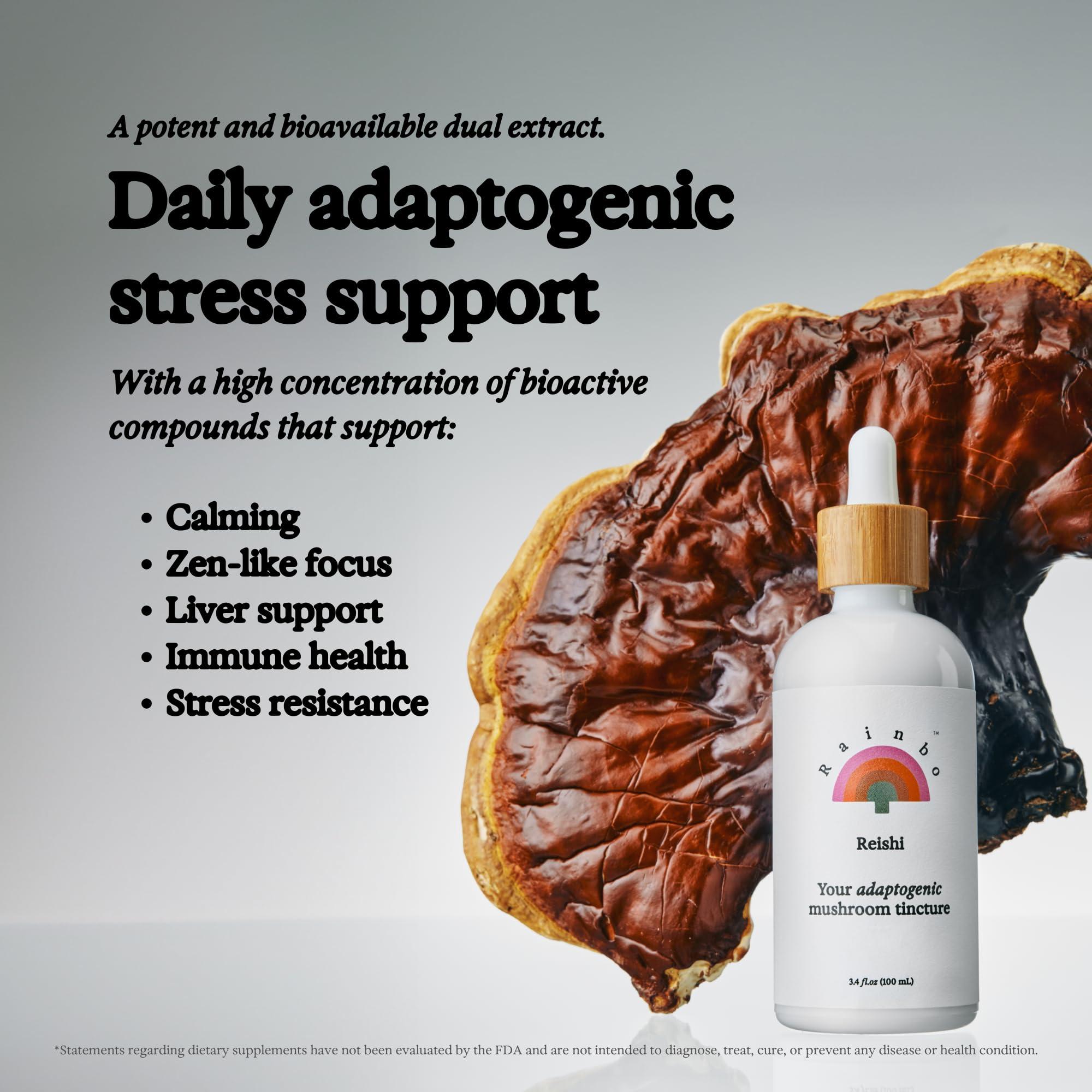 Rainbo Rainbo Mushroom Bundle, Reishi Mushroom Extract + Chaga Mushroom Tincture, Dual Extract Daily Mushroom Tinctures for Comprehensive Immune Support, Vegan Liquid Mushroom Supplements