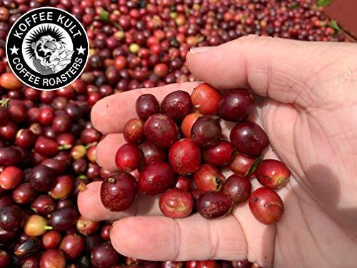 Koffee Kult Koffee Kult Dark Roast Ground Coffee - Small Batch Gourmet Aromatic Artisan Blend 100% Organically Sourced Arabica Coffee (Ground, 80oz,)