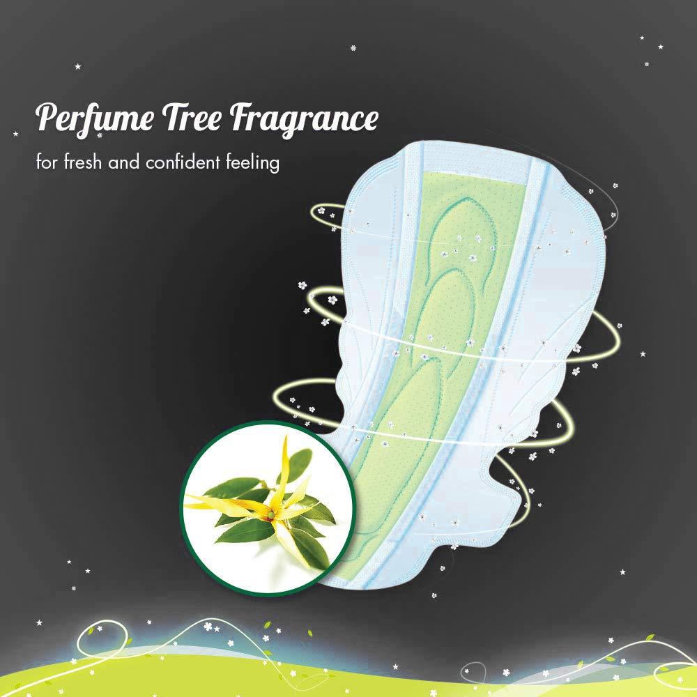 Sofy Sofy Bodyfit Overnight Pads - 10 Pieces (XXL)