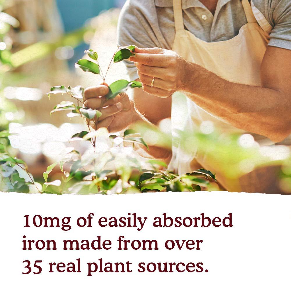 Garden of Life mykind Organics Organic Plant-Sourced Iron + Herbs (Cranberry-Lime Liquid) 8oz Liquid