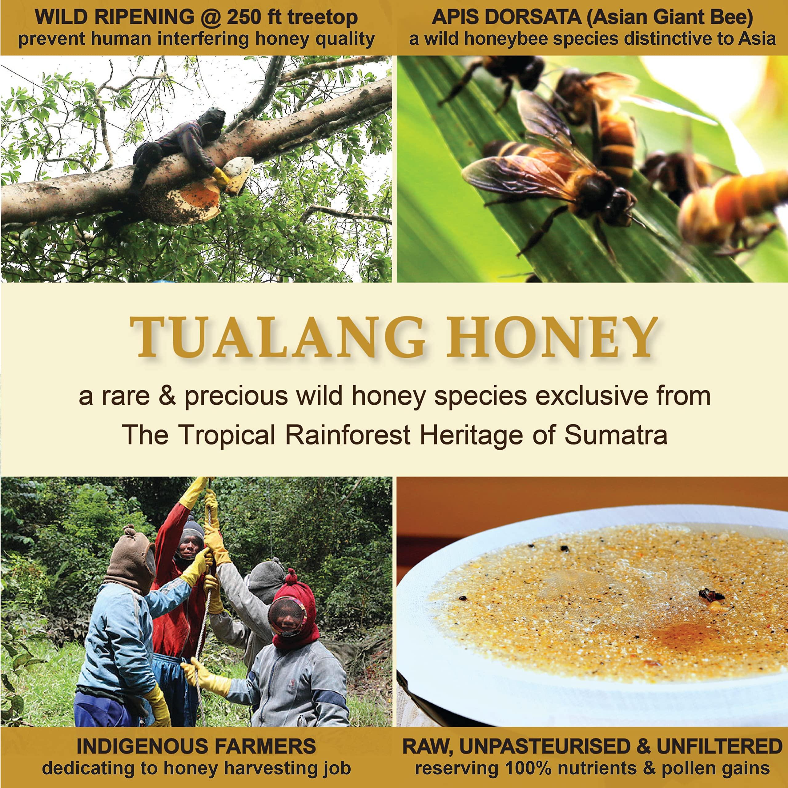 Health Harvest [GIFT CHOICE] Tualang Honey 1.8oz x 3 Jars (Black, Red & Yellow Honey) | TA 9.5+ to 11.5+ | Pollen Count 2.4 M+ to 4.0 M+ | Pollen Variety 100+ | Wild-ripening on 250ft Treetop | Raw, Unpasteurised, Unfiltered
