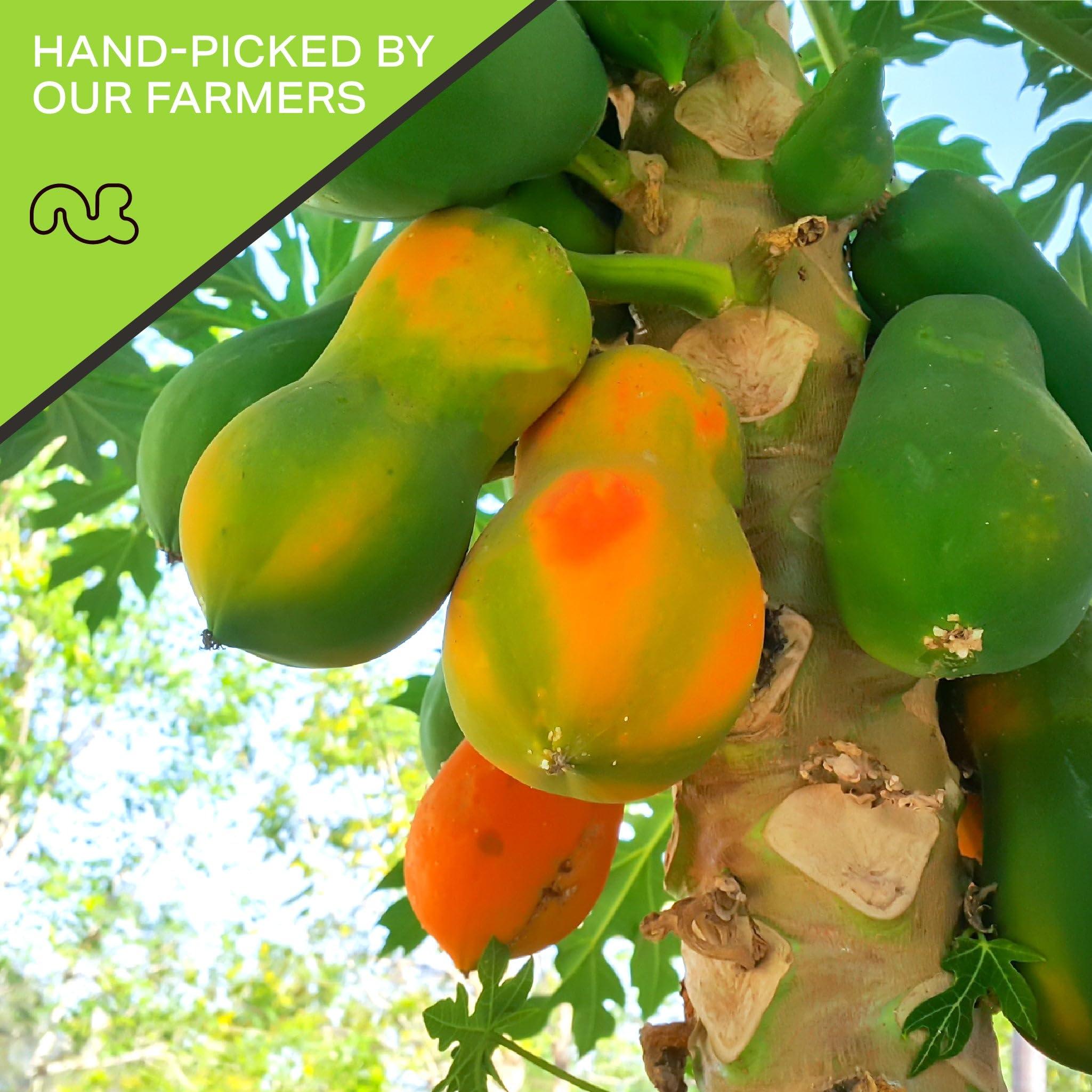 Nut Cravings NUT CRAVINGS Dry Fruits - Sun Dried Papaya Chunks, (16oz - 1 LB) Packed Fresh in Resealable Bag - Sweet Snack, Healthy Food, Naturally Grown, Vegan, Kosher Certified